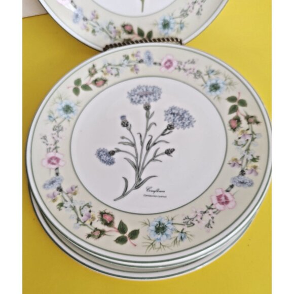 Aynsley Bone China collectors plates set Flowers From the Gardens of Old England - Picture 2 of 16